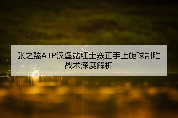 张之臻ATP汉堡站红土赛正手上旋球制胜战术深度解析
