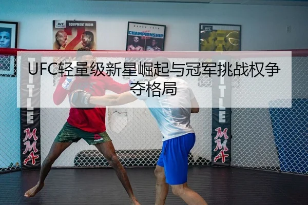 UFC轻量级新星崛起与冠军挑战权争夺格局