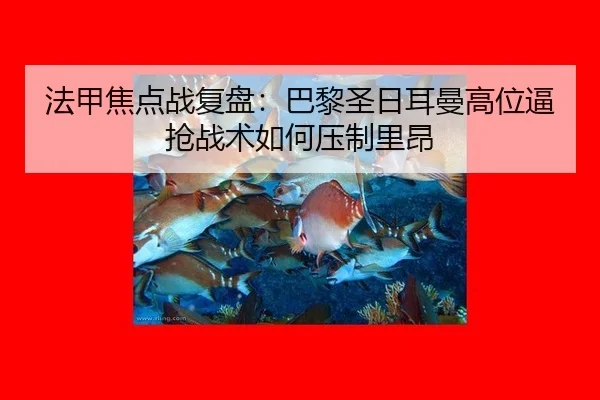 fa-jia-jiao-dian-zhan-fu-pan-ba-li-sheng-ri-er-man-gao-wei-bi-qiang-zhan-shu-ru-he-ya-zhi-li-ang-2-921.jpg